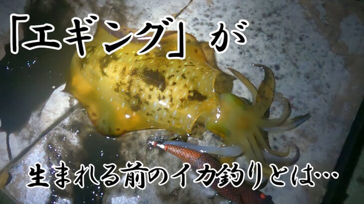 「エギング」という言葉が生まれる前のイカ釣り