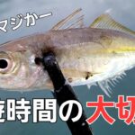 【アジング】見切る時間の大切さ。この時間帯に来なければデカアジの希望は薄く・・・