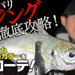 【ジャッカル】アジの釣り方教えます「陸っぱりアジング攻略法」