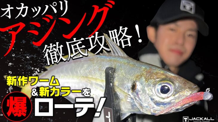 【ジャッカル】アジの釣り方教えます「陸っぱりアジング攻略法」