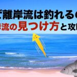 なぜ離岸流は釣れるのか？離岸流の見つけ方と攻略法