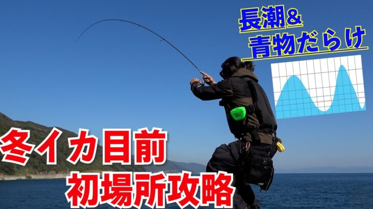 【冬イカ目前】晩秋エギング初場所攻略法！長潮は釣れない？青物がいたら釣れない？地形や潮をみてイカを探す遠征編