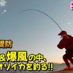 【エギング】冬の堤防で横風＆爆風の中、アオリイカを釣る!!