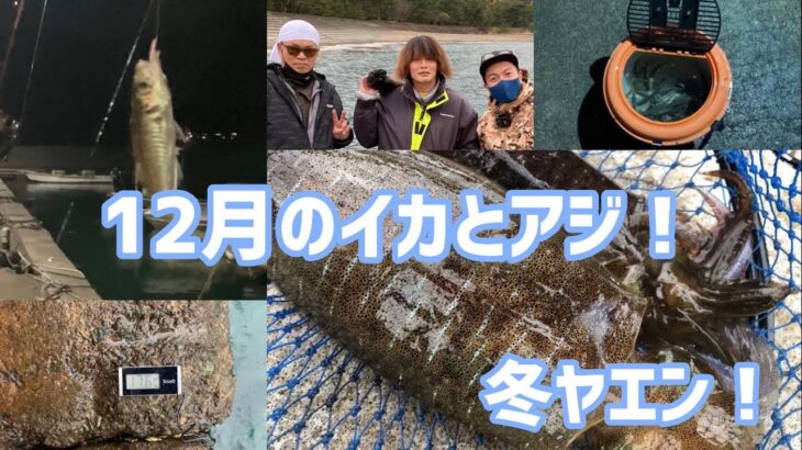 【冬ヤエン】ヤエン釣り【イカもアジも釣れる！】つりぴぃぽぉ/まーきーさん登場！　福井県