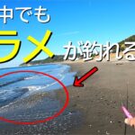 ど日中でもヒラメが釣れるポイントの見つけ方【内房サーフ】