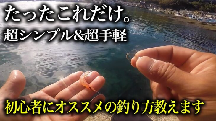 シンプルなのに超釣れる。オキアミジグヘッドの釣れっぷりを知って欲しい