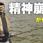 釣り人を精神崩壊させる霞ヶ浦で奇跡起きた・・‼︎‼︎【関東遠征】