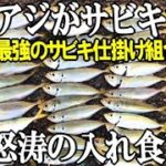 良型アジが堤防サビキで怒涛の入れ食い！最強のサビキ組み合わせであの時間帯を狙い打ったらエサ無しでも凄すぎた！いでよ職人ング！