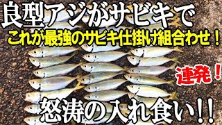 良型アジが堤防サビキで怒涛の入れ食い！最強のサビキ組み合わせであの時間帯を狙い打ったらエサ無しでも凄すぎた！いでよ職人ング！