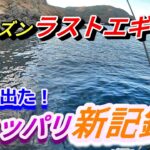 「必見！」最後に魅せた！青物も！？エギング最終戦でドラマが！