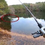 【バス釣り】冬の野池でルアーを水面に垂したらまさか食いにくるなんて思わんしw w w