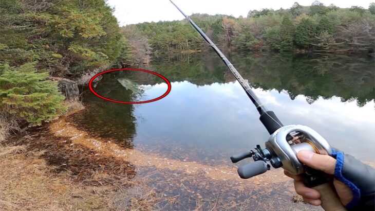 【バス釣り】冬の野池でルアーを水面に垂したらまさか食いにくるなんて思わんしw w w