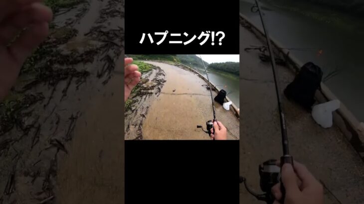 は？なんで山から「魚」が降ってくんのwww【伝説のハプニング】 #バス釣り #shokurosfishing