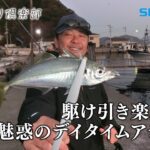 【おとな釣り倶楽部】1月の宇和島、冬のデイアジング攻略法で納得の型を仕留める