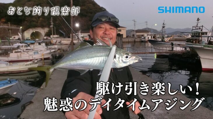 【おとな釣り倶楽部】1月の宇和島、冬のデイアジング攻略法で納得の型を仕留める