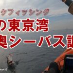 【カヤック☆1月下旬】冬の東京湾　シーバス調査にきました【東京湾奥】