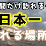 【シーバスの楽園があります(前編)】1年に数日間だけ訪れる爆釣の場所に行ったらヤバかった…。