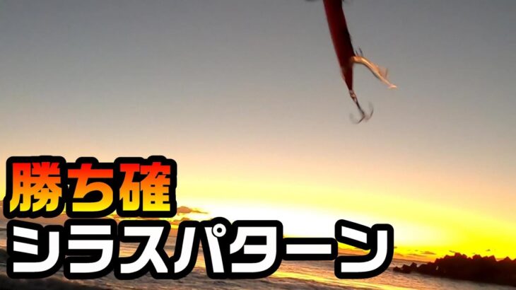 【福島サーフ】1月下旬、新舞子サーフ釣査