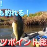 【埼玉バス釣り】バス釣り　激アツポイント厳選まとめ総集編！初心者でも100本釣れる！前編【バス釣り激アツポイント】