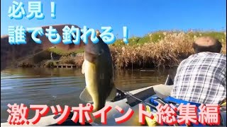 【埼玉バス釣り】バス釣り　激アツポイント厳選まとめ総集編！初心者でも100本釣れる！前編【バス釣り激アツポイント】