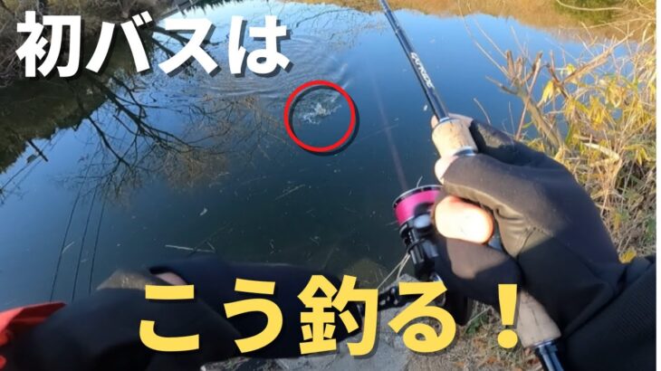 【バス釣り】初バスが釣りたい人はこの釣り方を真似して下さい。実釣を交えて釣り方を解説します。難しい真冬に簡単に釣るコツとは？【1月・2月バス釣り】【謹賀新年】【初釣り】