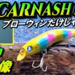 【スカーナッシュ120F】BlueBlue シーバスルアー 水中映像！ブローウィンも良いけどこれも良い！ブルーブルー SCARNASH120F