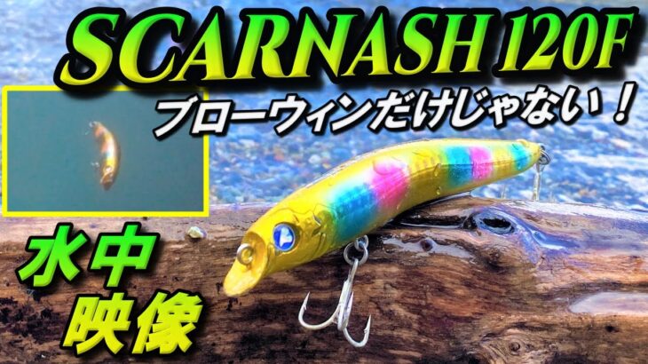 【スカーナッシュ120F】BlueBlue シーバスルアー 水中映像！ブローウィンも良いけどこれも良い！ブルーブルー SCARNASH120F