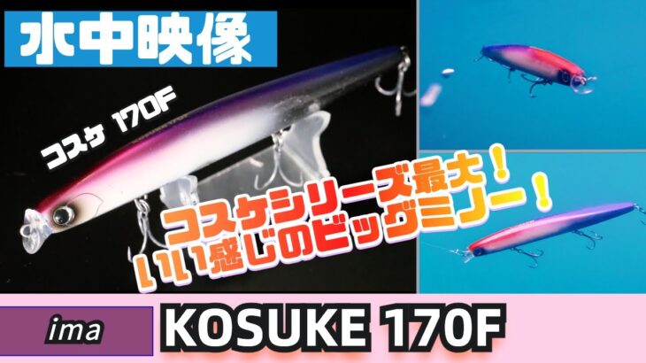 【水中映像】コスケ170f！コスケシリーズ最大サイズ！大きいベイトを食べてるシーバス釣るならこれ！【アイマ】【アムズデザイン】