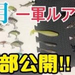 【冬のバス釣り】2月の一軍ルアーを全部公開❗️使い方やリグ、使い時なども解説‼️