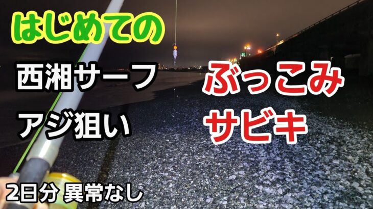 【西湘サーフ】はじめてのぶっこみサビキ2日分 感想、考察など 異常なし　2023年1月中旬   釣り