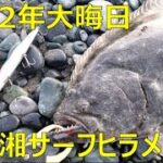 西湘サーフでヒラメ釣り2022年大晦日釣行　久々に50cmオーバー捕獲