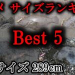 【2022年ヒラメのサイズランキングBest5】実力に伴わないサイズばかり！｜ヒラメ釣り　ヒラメサーフ　ヒラメルアー　サーフ釣り　サーフヒラメ　サーフゲーム　フラットフィッシュ【ライトショアジギング】