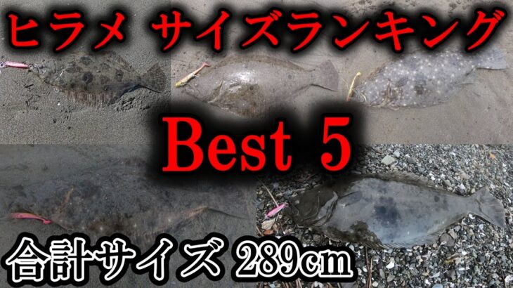 【2022年ヒラメのサイズランキングBest5】実力に伴わないサイズばかり！｜ヒラメ釣り　ヒラメサーフ　ヒラメルアー　サーフ釣り　サーフヒラメ　サーフゲーム　フラットフィッシュ【ライトショアジギング】