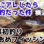 【2023初釣り】投げサビキ好釣！五目釣り㊙仕掛け！神奈川県 横浜金沢八景島対岸 釣果速報！