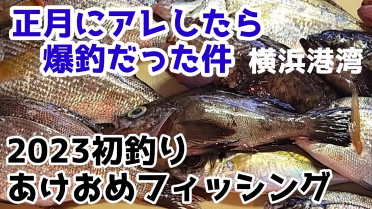 【2023初釣り】投げサビキ好釣！五目釣り㊙仕掛け！神奈川県 横浜金沢八景島対岸 釣果速報！