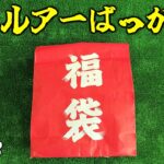 生産終了ルアー多め！釣具屋の福袋をガン無視して俺なりの福袋買ってきた2023【バス釣り/シーバス】