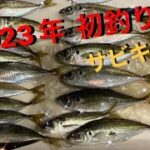 2023年　初釣り🎣　#釣りガール #サビキ釣り  #釣り #2023 #アウトドア