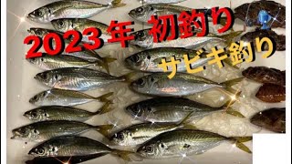 2023年　初釣り🎣　#釣りガール #サビキ釣り  #釣り #2023 #アウトドア