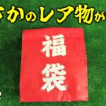 地味なレア物ゲット！釣具屋のルアー福袋をガン無視して俺なりの福袋買ってきた2023【バス釣り/シーバス】