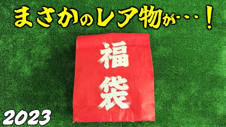 地味なレア物ゲット！釣具屋のルアー福袋をガン無視して俺なりの福袋買ってきた2023【バス釣り/シーバス】