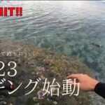 【エギング2023】浜ちゃんが遂に動きだす！？だけど何か様子がおかしい‥