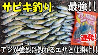 アジがサビキで強烈に爆釣れる最強のアジ釣りをしてみた！最強エサ×最強仕掛け！あの時間から入れ食い連発でアジが止まらない【アジ爆釣物語の2023！】