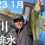 荒川温排水♨️釣れまくりでした❗️2023