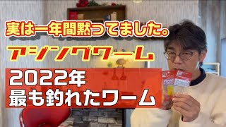 【アジング】2023年お勧めワームはコレ！実は一年前から結果が出てました。