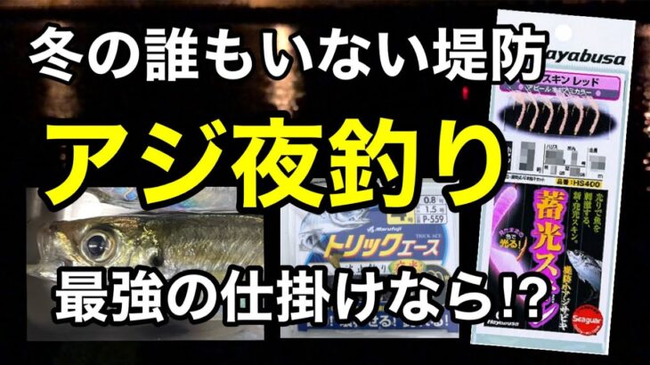 低活性でもアジ釣りたいんじゃ⁉︎最強サビキなら？ウキ泳がせ2023.1