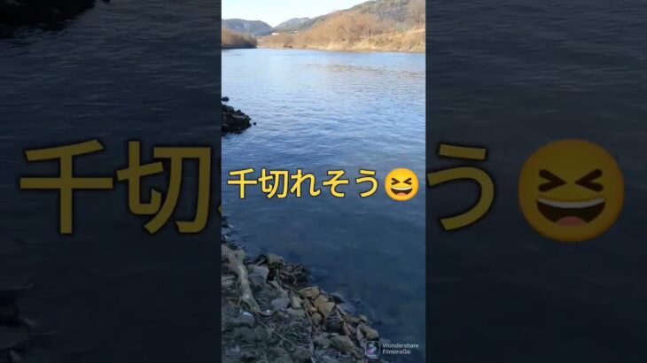 2023.1.26足元は凍ってツルツル😅宇治川ブラックバス釣り！ #ルアーフィッシング #fishing #daiwa