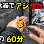 【サビキ釣り】秘密兵器でアジ爆釣‼2023年1月、横浜、横須賀エリアのアジを求めて、トリックサビキにちょい足しをしたら大正解!!