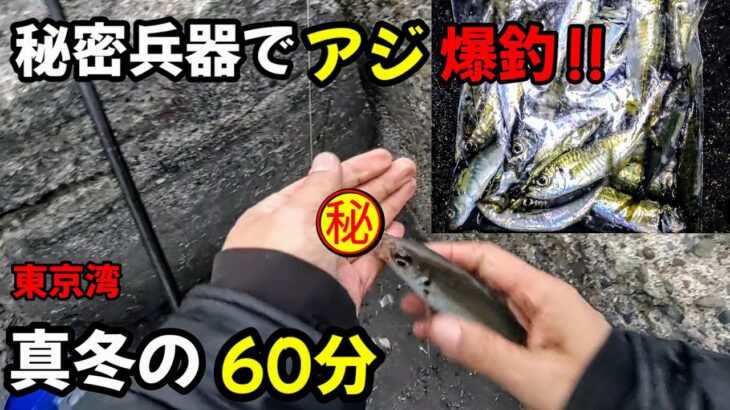 【サビキ釣り】秘密兵器でアジ爆釣‼2023年1月、横浜、横須賀エリアのアジを求めて、トリックサビキにちょい足しをしたら大正解!!