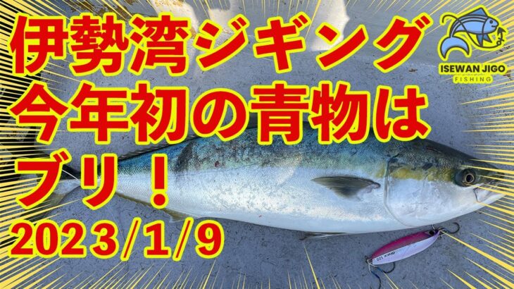 伊勢湾ジギング　今年初の青物がブリ！　2023/1/9　最近渋い日が続く伊勢湾でブリを釣りました！　脳締め　血抜き　神経締め