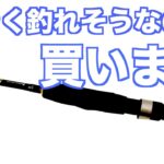 【釣果倍増】初心者だからこそ本気で選んだアジングロッドはこの3択です